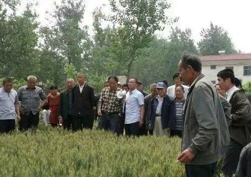 论土壤修复的突破点! 论土壤修复的突破点!