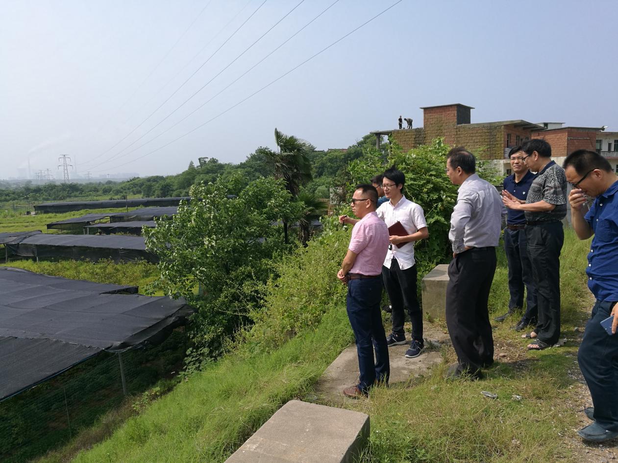 图片3.jpg 图片3.jpg