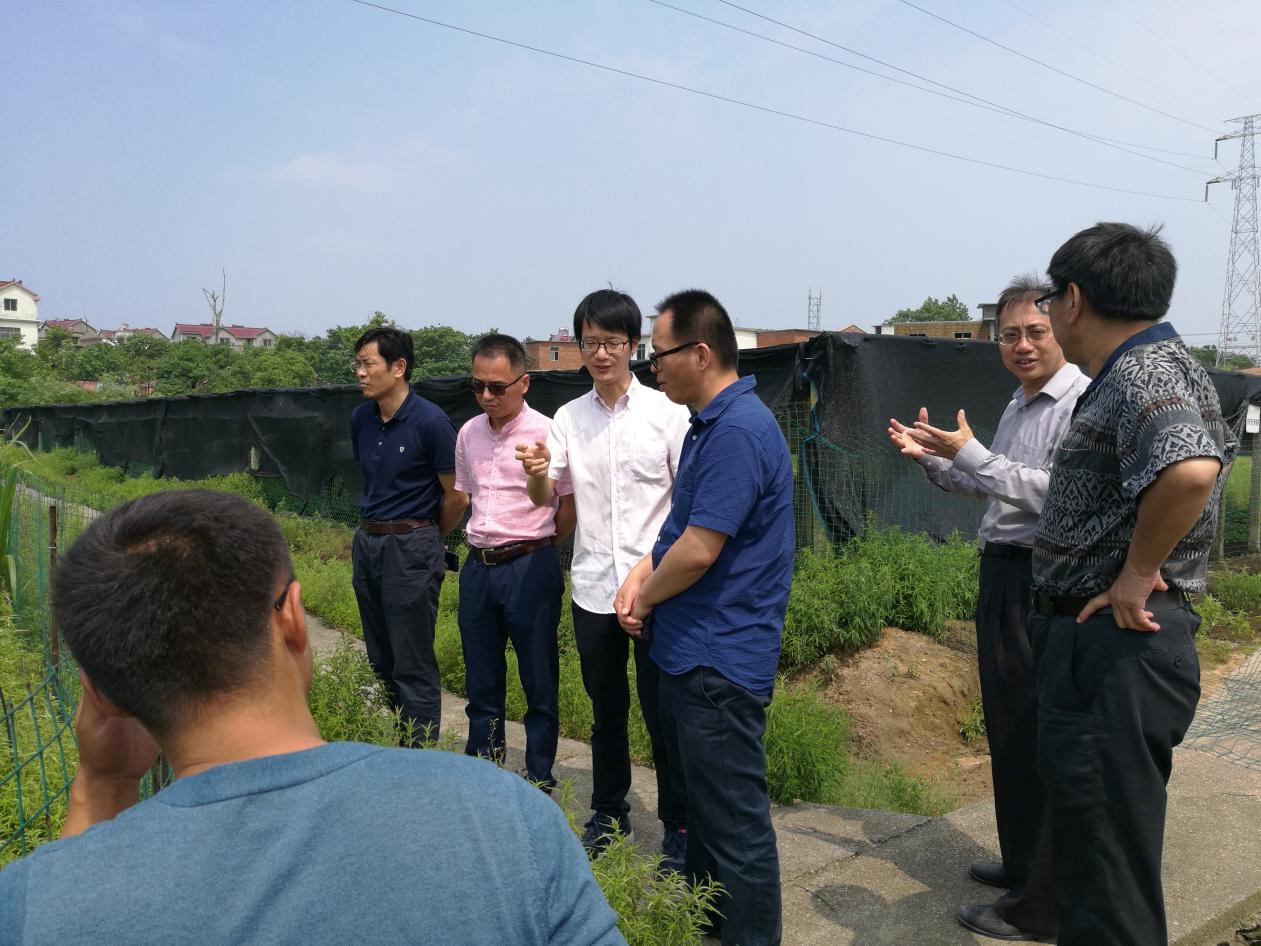 图片4.jpg 图片4.jpg