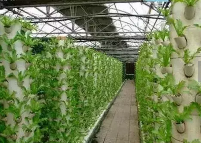 世界生态农业典范——这6个国家的生态农业做绝了